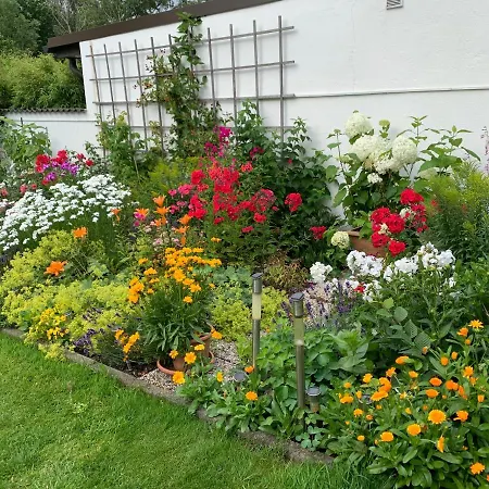 Loew Σόλινγκεν