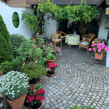 Apartment Loew