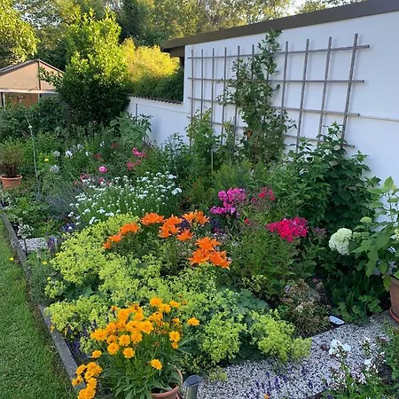 Loew سولينجين