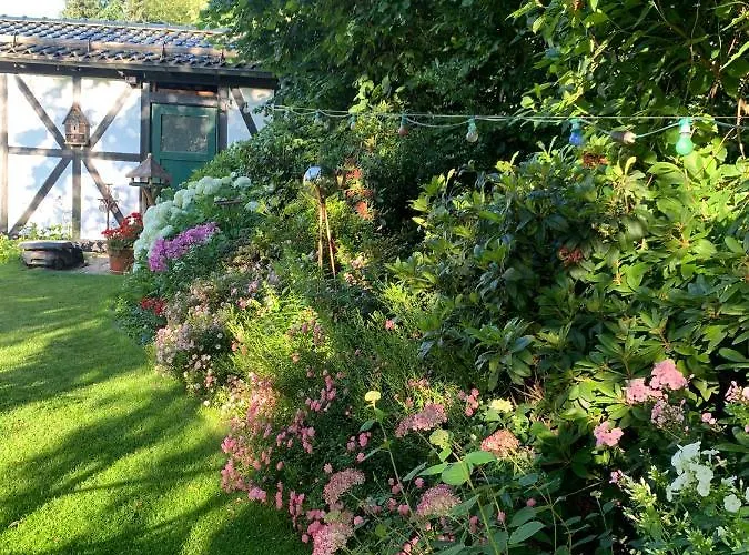 Διαμέρισμα Loew *