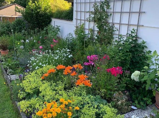 Loew Золинген